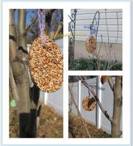 bird seed collage