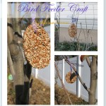bird feeder craft katherines corner