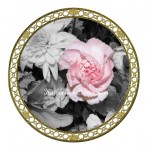 pink carnation 2