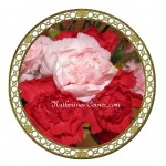 pink carnations 2