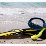 snorkle  and flippers