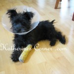 injured