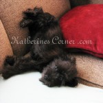 yoga pose