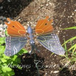 butterfly