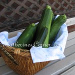 zucchini basket