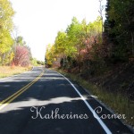 autumn drive 8  katherines corner