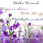 hello friend in many languages Katherines Corner