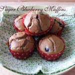 low sugar blueberry muffins katherines corner