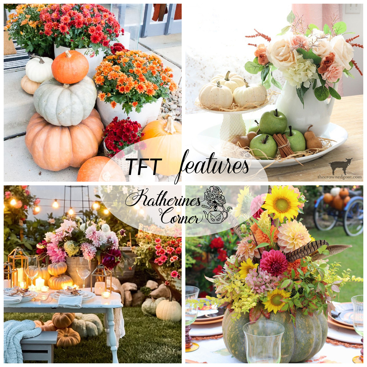 Autumn Flowers, Pumpkins and TFT Blog Hop