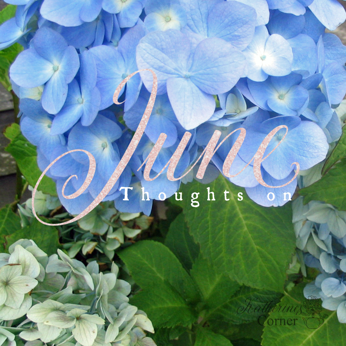 Thoughts on June