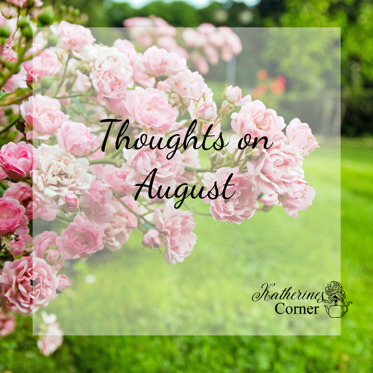 Thoughts on August