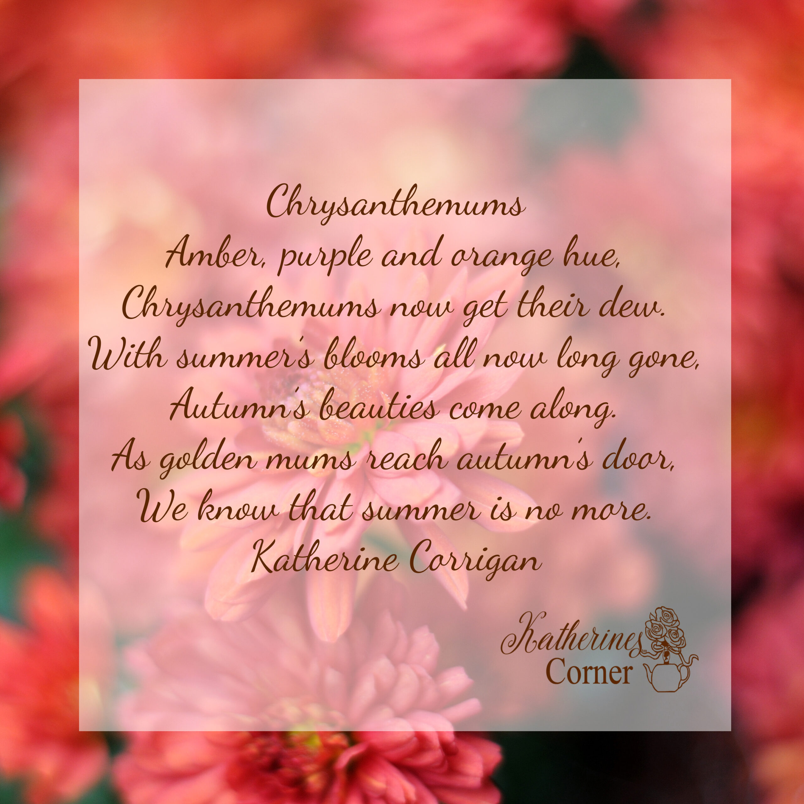 Chrysanthemum Autumns Flower