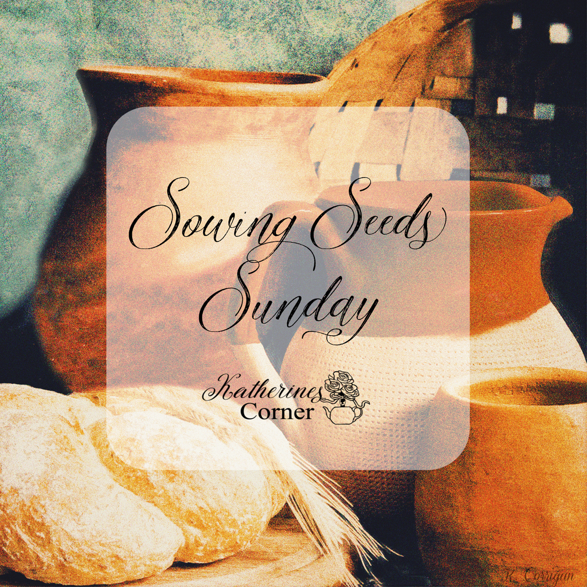 Sowing Seeds Sunday 1