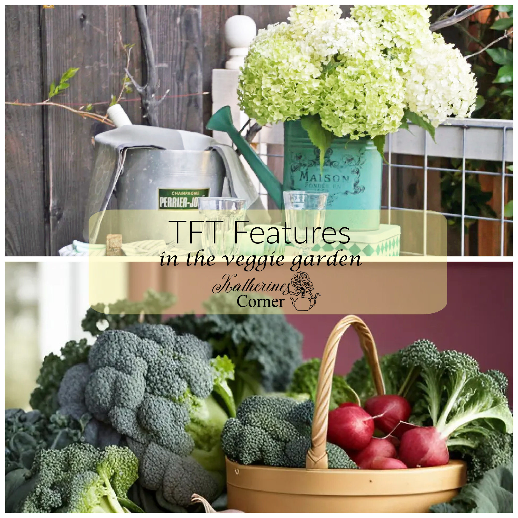 In the Veggie Garden and the TFT Blog Hop